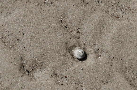 Beachcomber 72