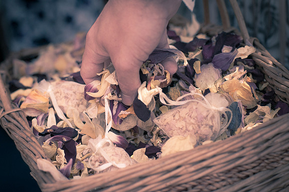 Petals