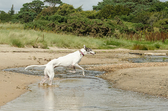 Crossing the Stream