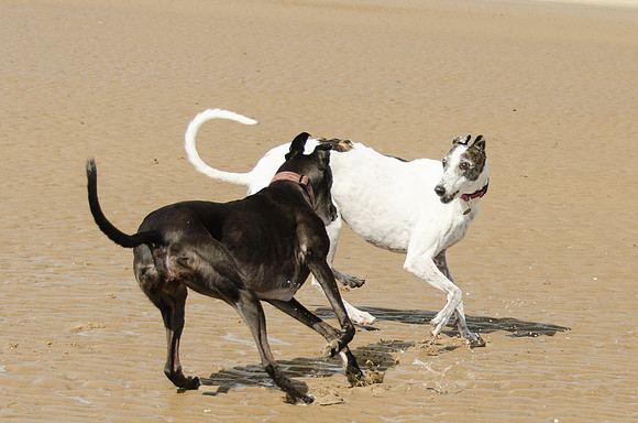 On the Beach 1